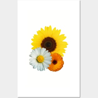 Flowers Posters and Art